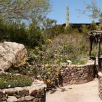 Arizona-Sonora Desert Museum