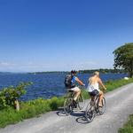 Local Motion Bike Rentals