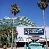 The Florida Aquarium