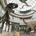 North Carolina Museum of Natural Sciences