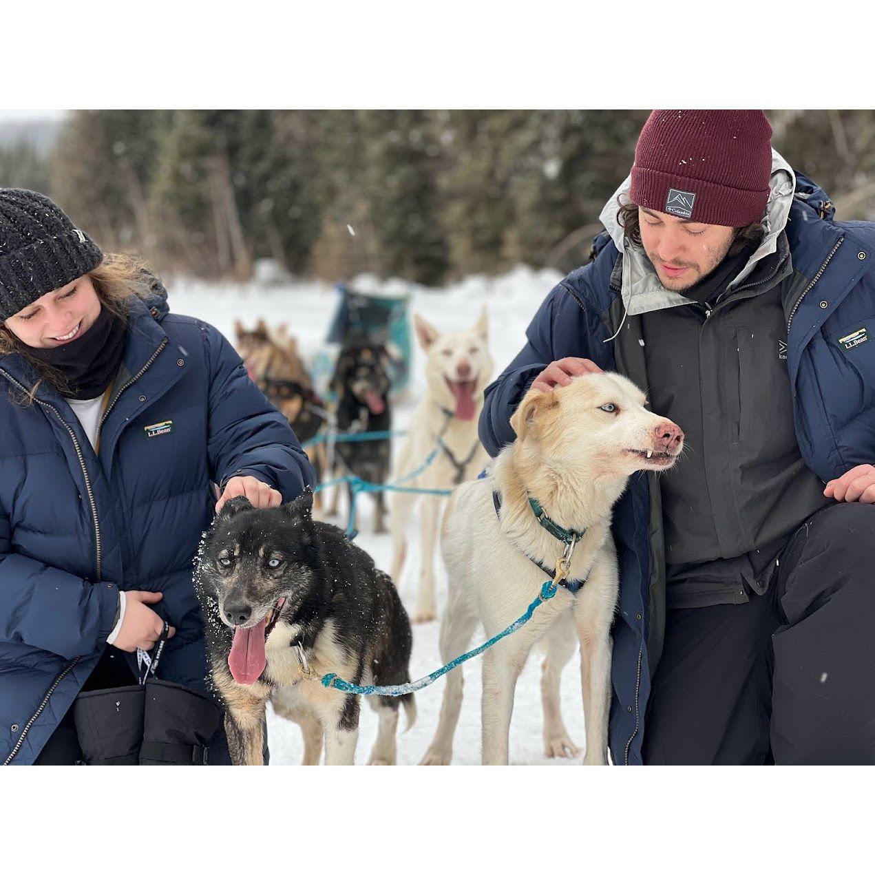 2023 - The day after the proposal, we achieved a bucket list dream of dog sledding with this pack of cuties.