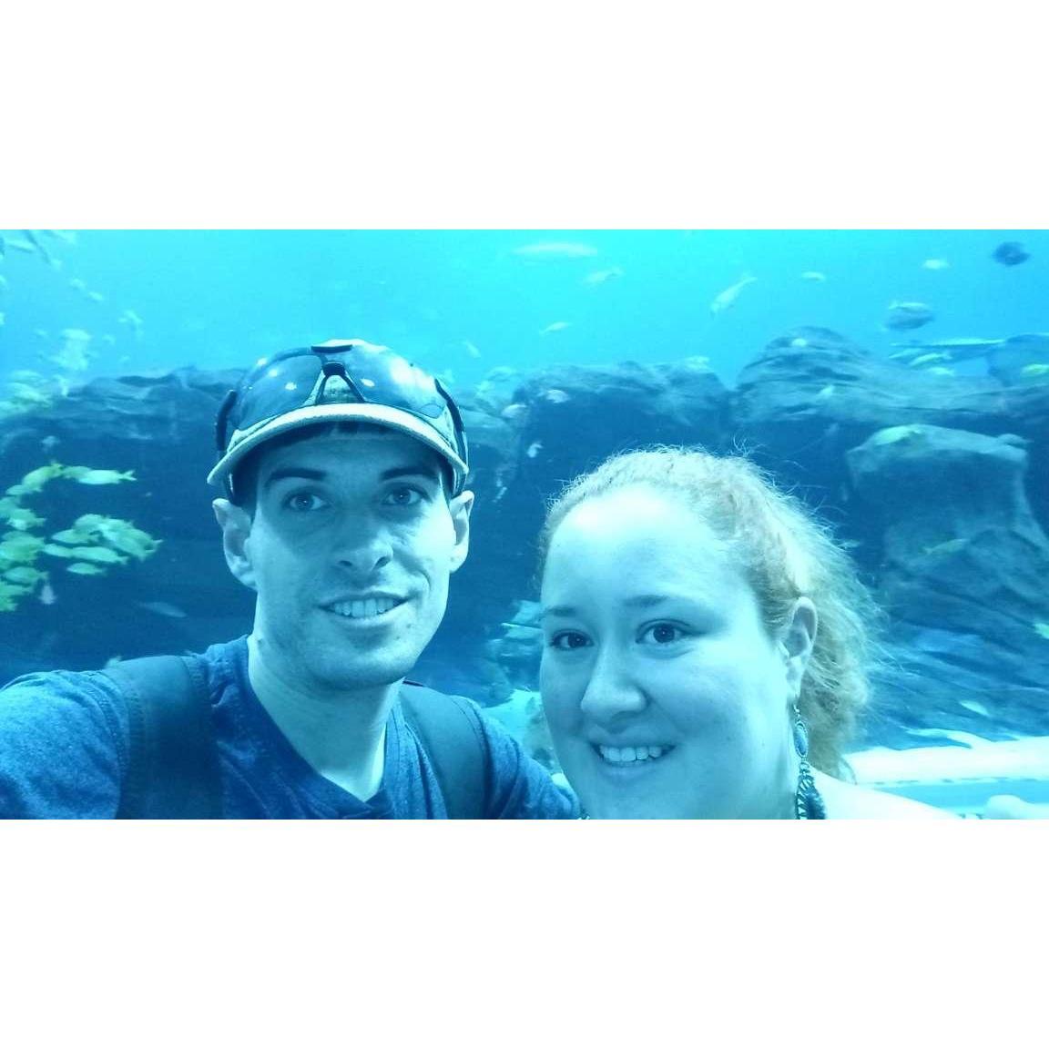 We both love water and the ocean, visiting the Georgia Aquarium was an amazing experience to have together @ Atlanta - Uno de nuestros grandes amores comunes el agua y el mar, en el acuario de Atlanta