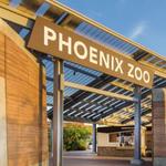Phoenix Zoo