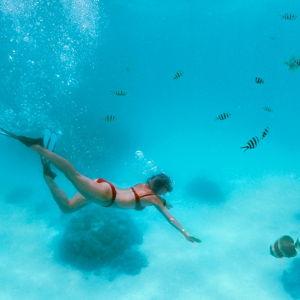 Snorkeling & Reef Excursion in the Seychelles