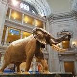 Smithsonian Institution