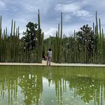 Jardín Etnobotánico de Oaxaca