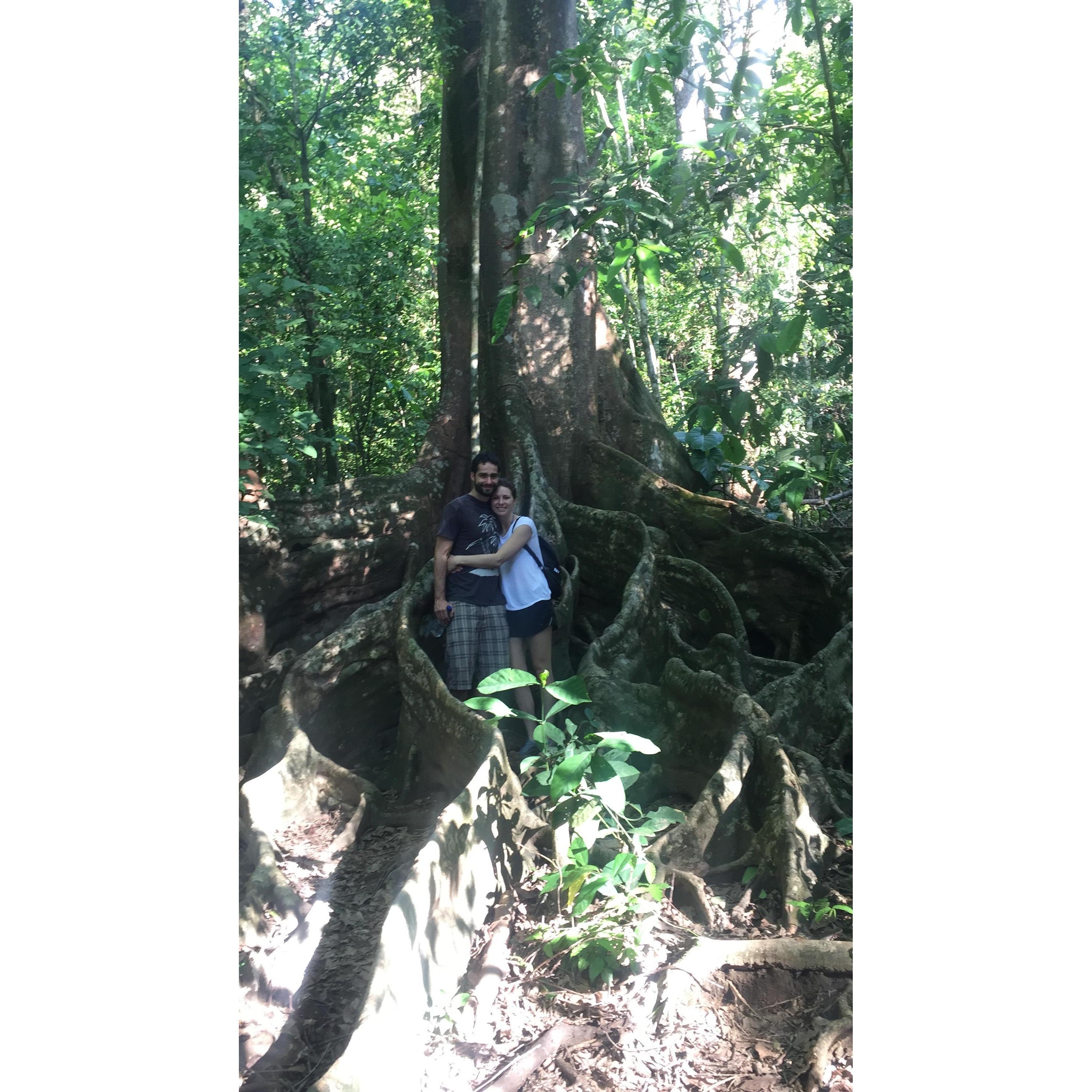 Back to Costa Rica!