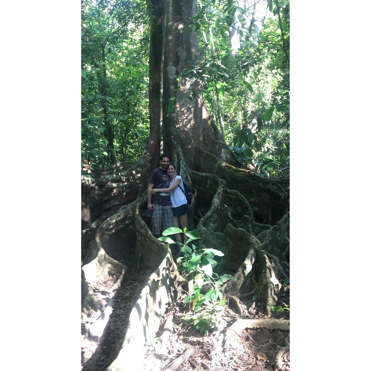 Back to Costa Rica!