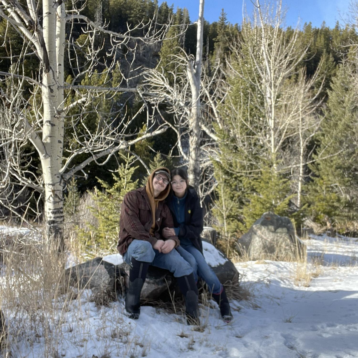 First Christmas tree adventure