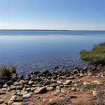 Walking Dunes Trail