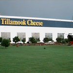 Cheese factory