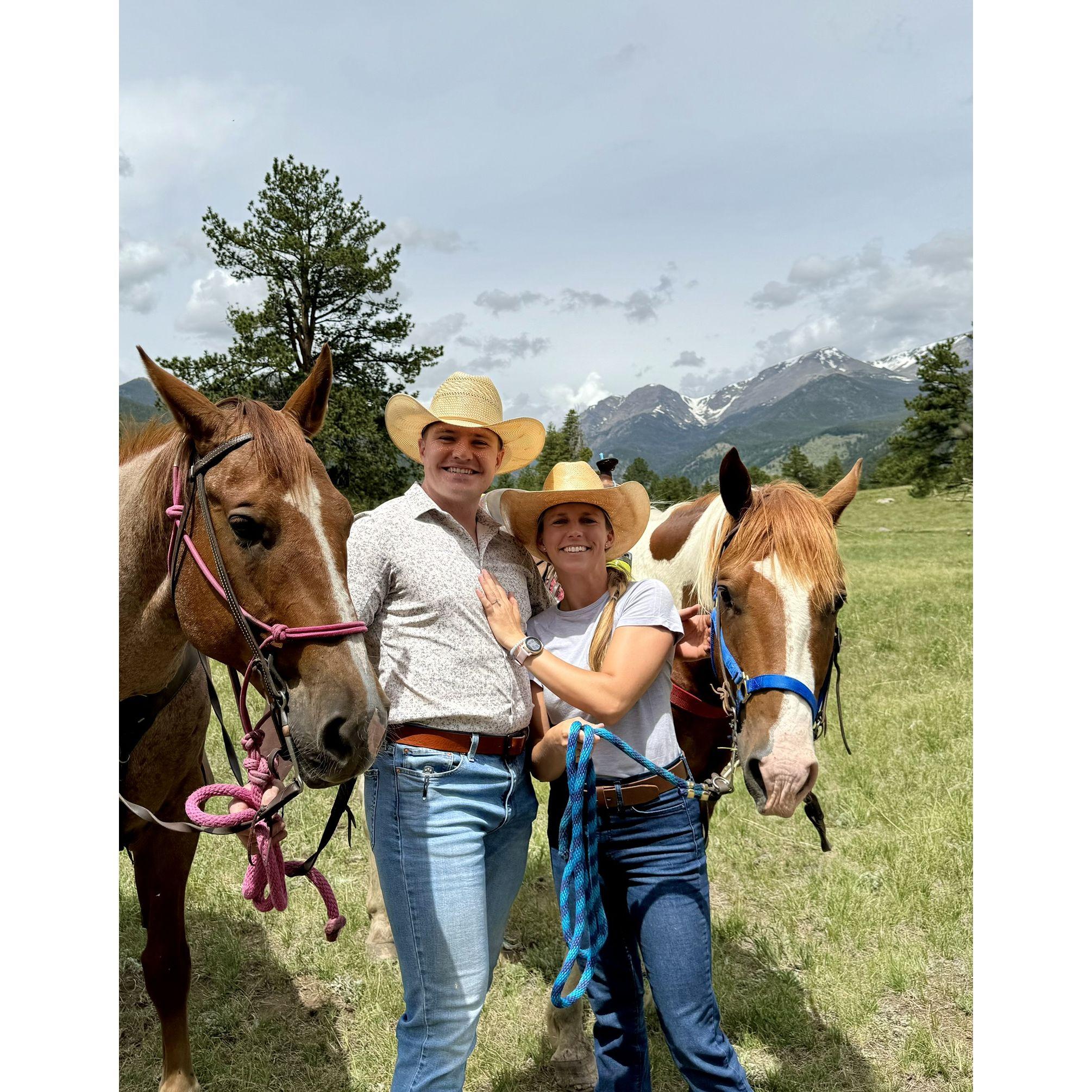 Will was very smart to include horses (Johanna's favorite animal) in the proposal plan