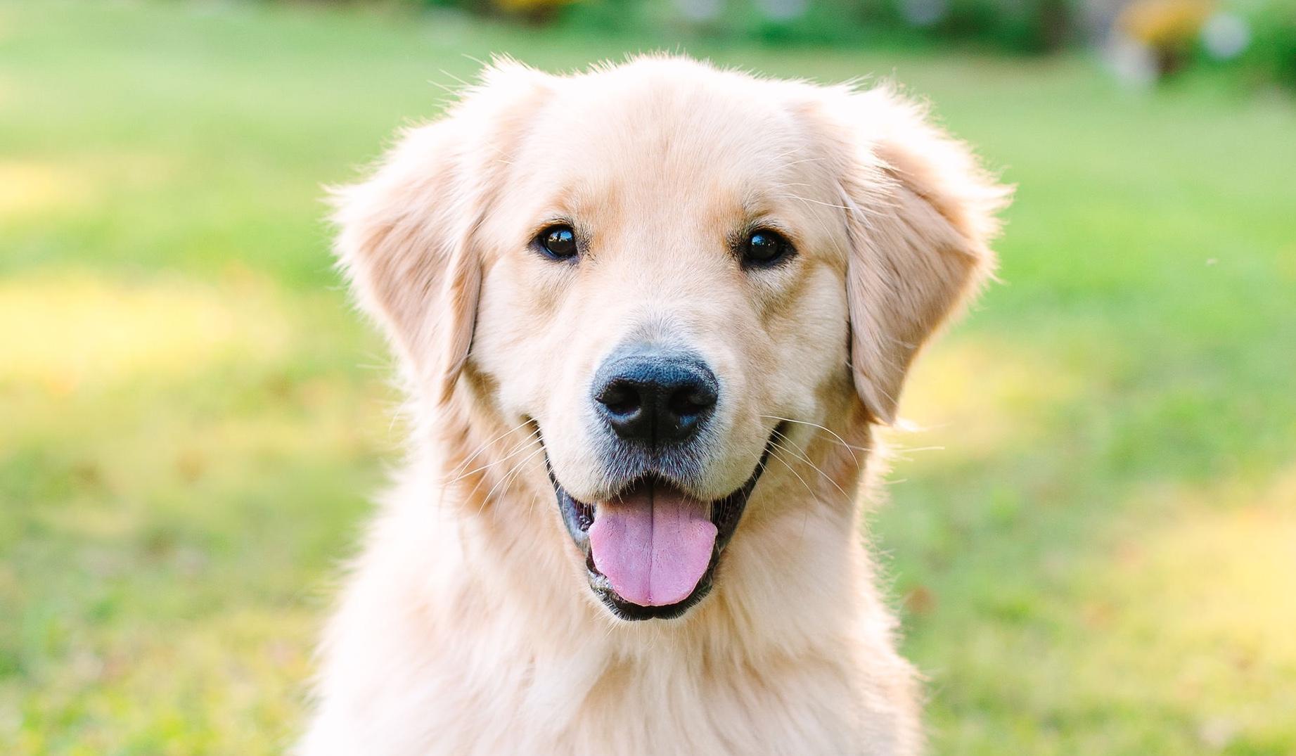 The Wedding Website of Elizabeth Feindel and Charles Battle