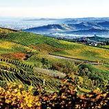 Wine Country
