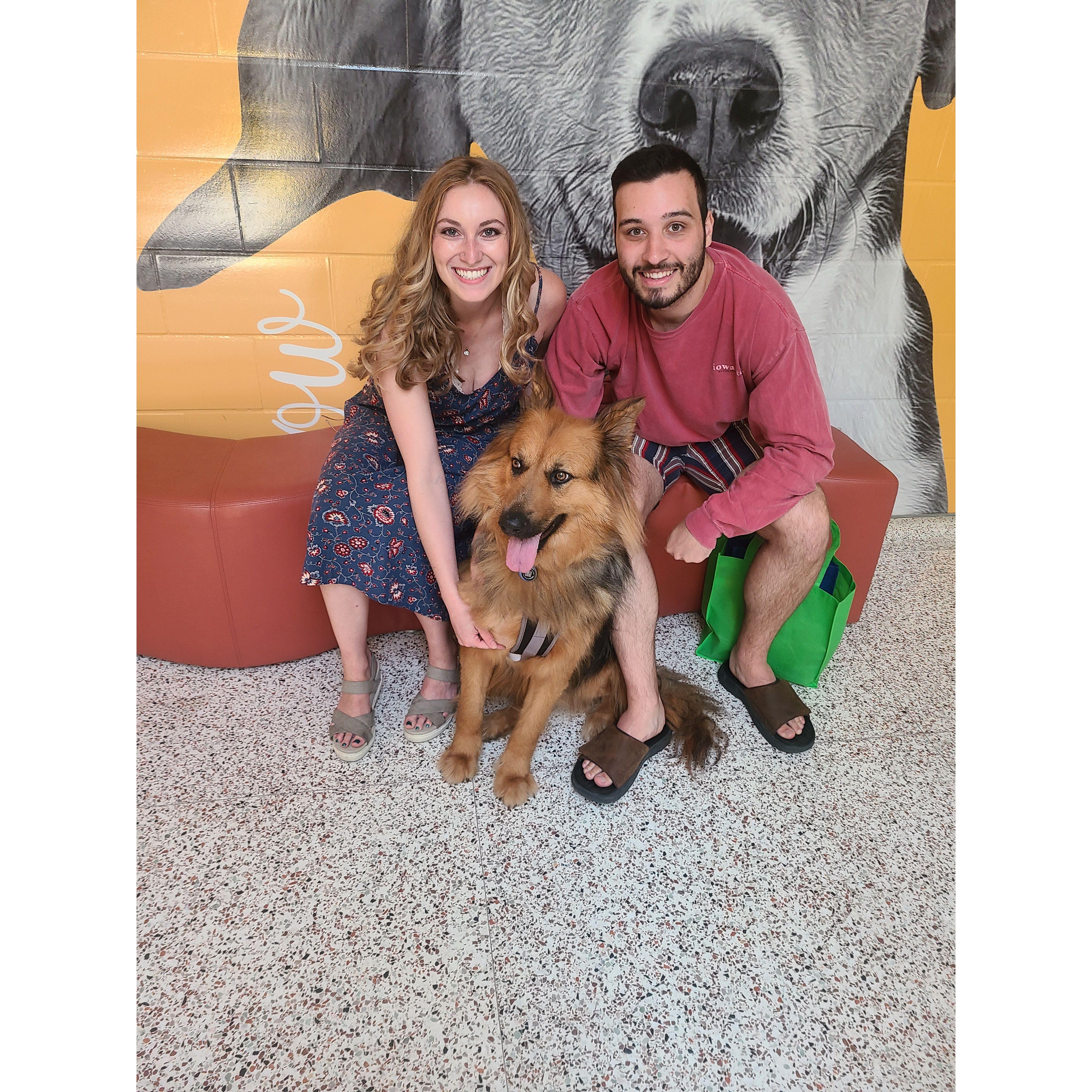 2023 - Kathryn finally convinces Nolan to adopt a dog - Zula!