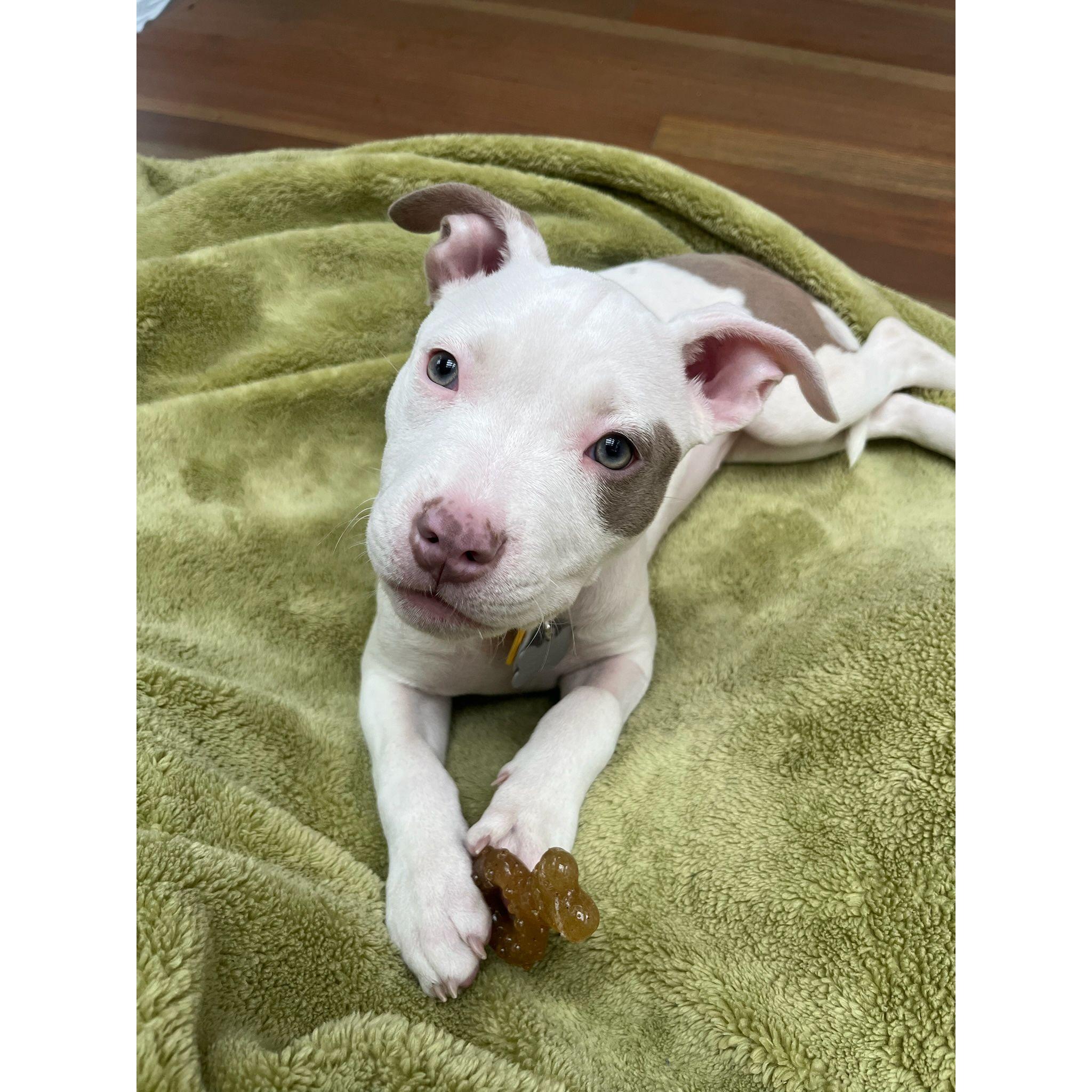 Newest member of the fam