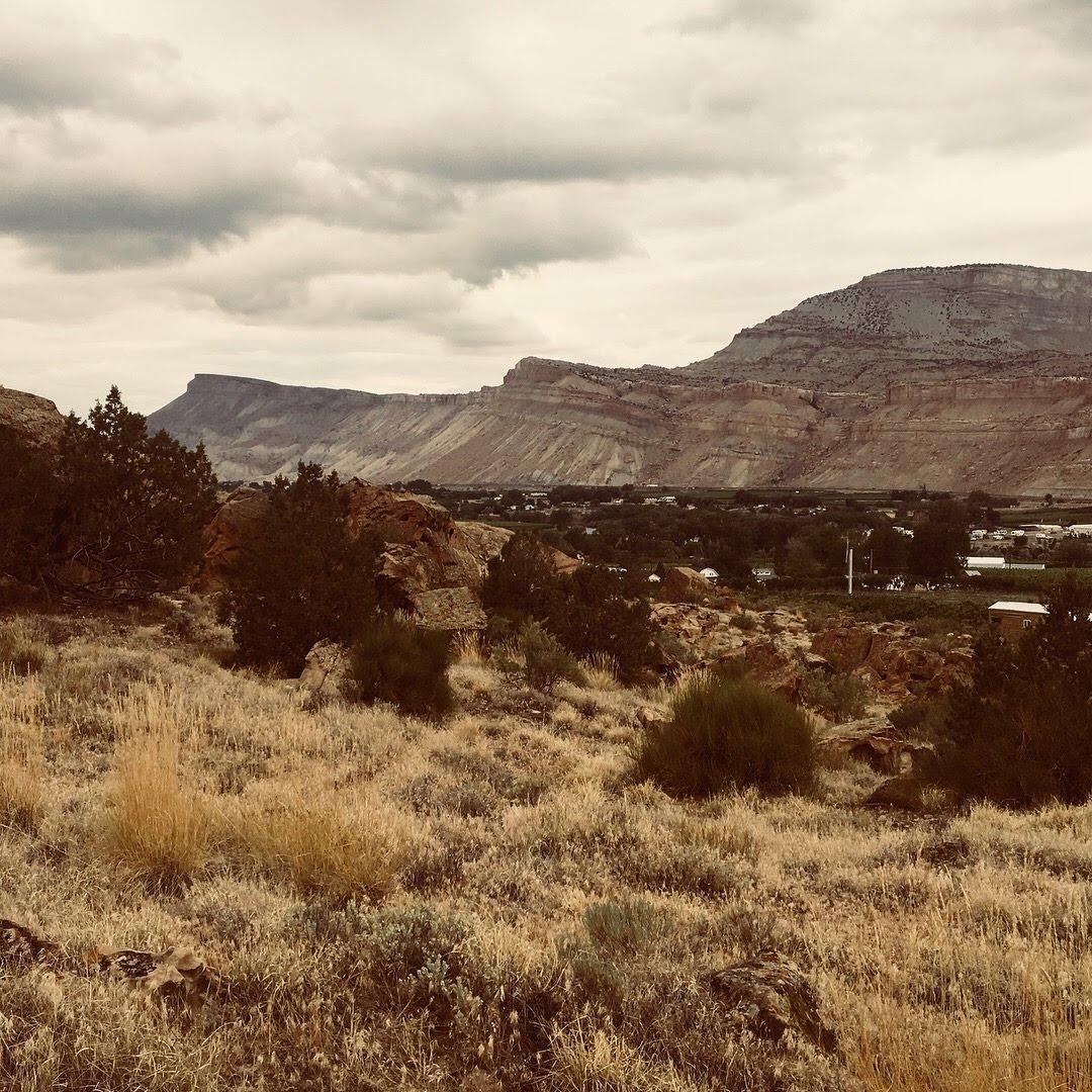 Palisade, late summer