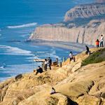 Torrey Pines State Natural Reserve