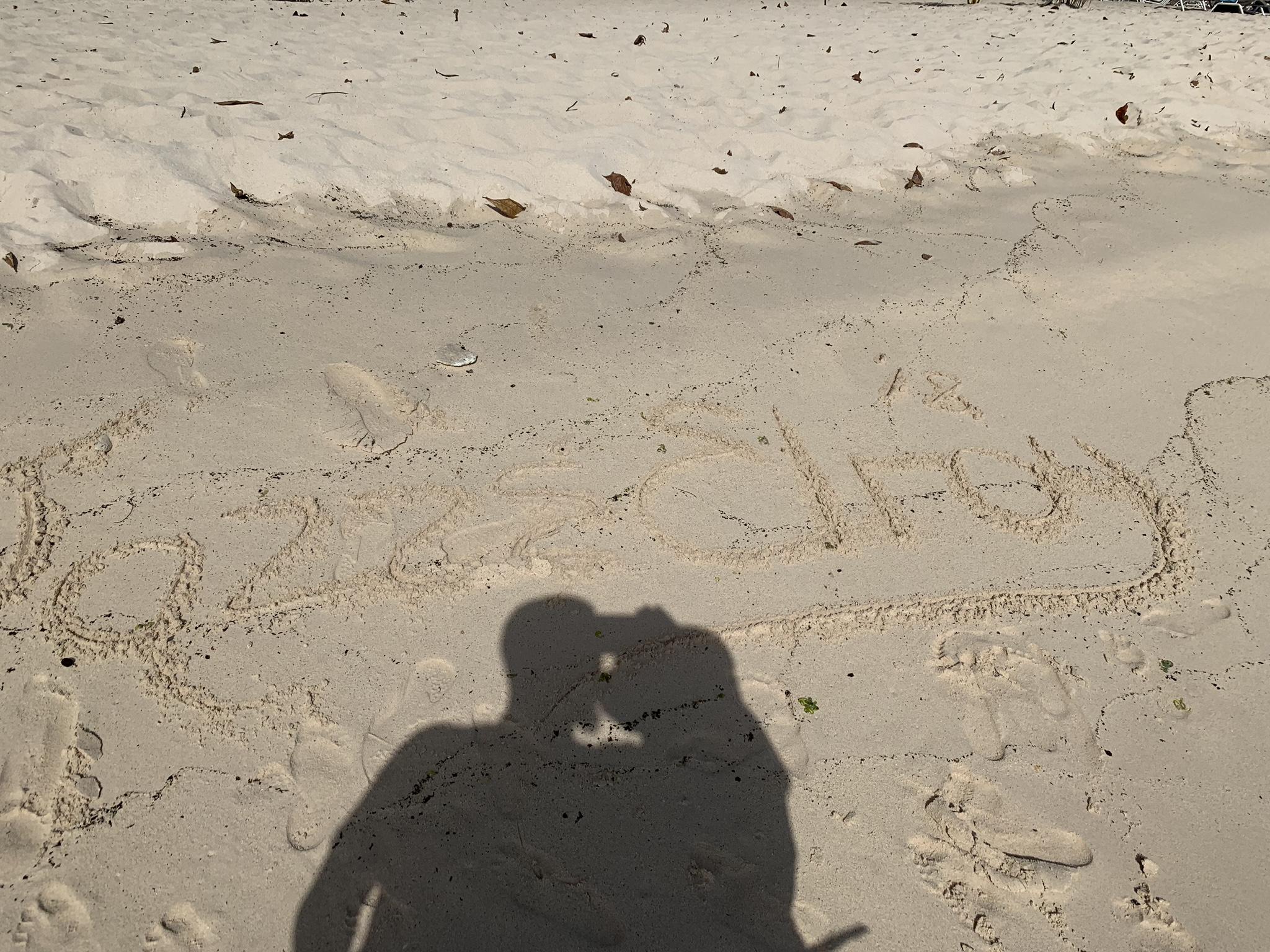 The Wedding Website of Jasmine Chapman-Tate and Elroy Tate Jr