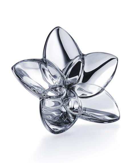 Baccarat Bloom Crystal Flower Decor, Silver