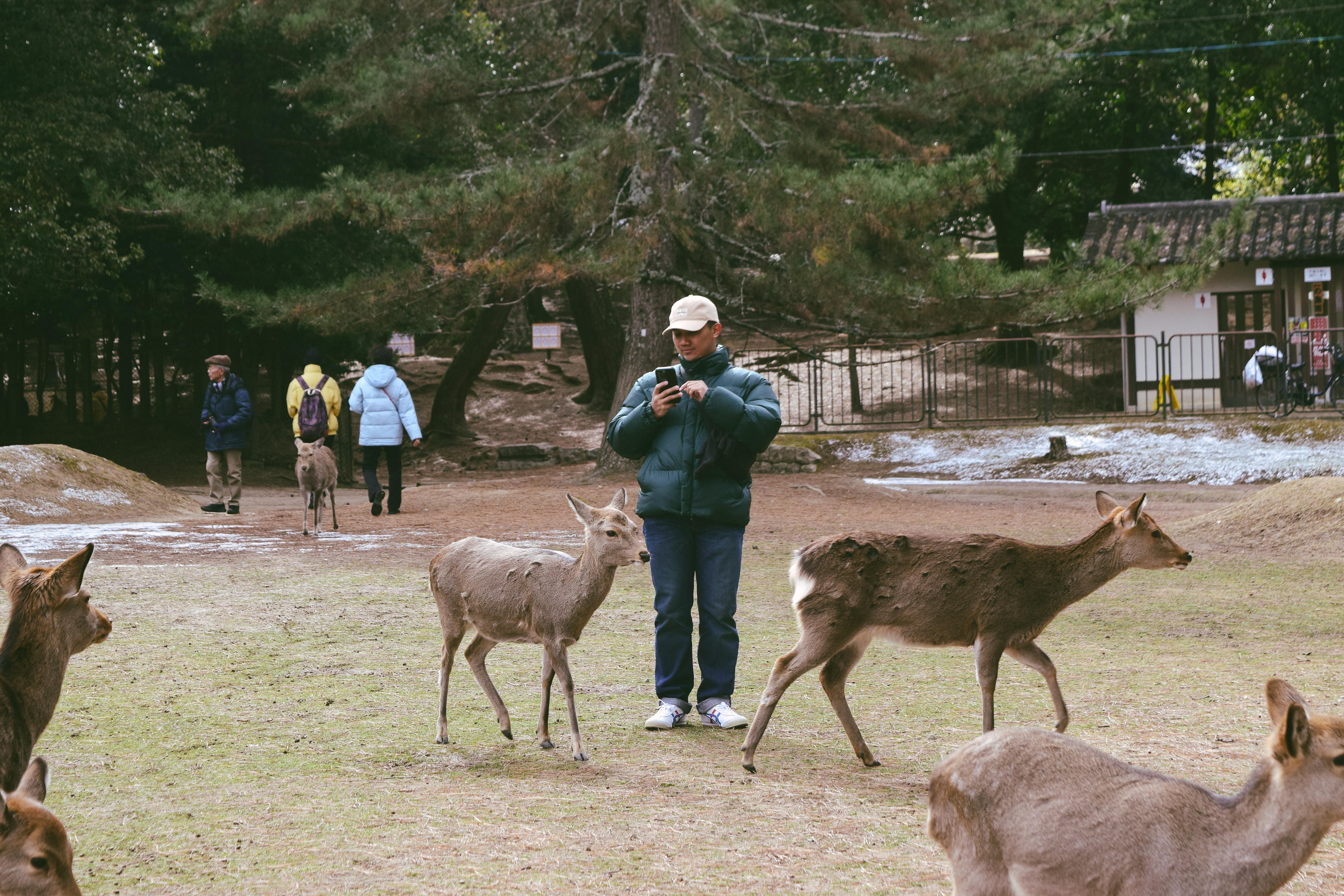 The Wedding Website of Pamela Doctor and Jalen Guiro De Castro