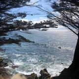 Sea Ranch