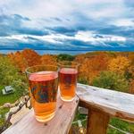Suttons Bay Ciders