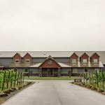 Dancing Dragonfly Winery