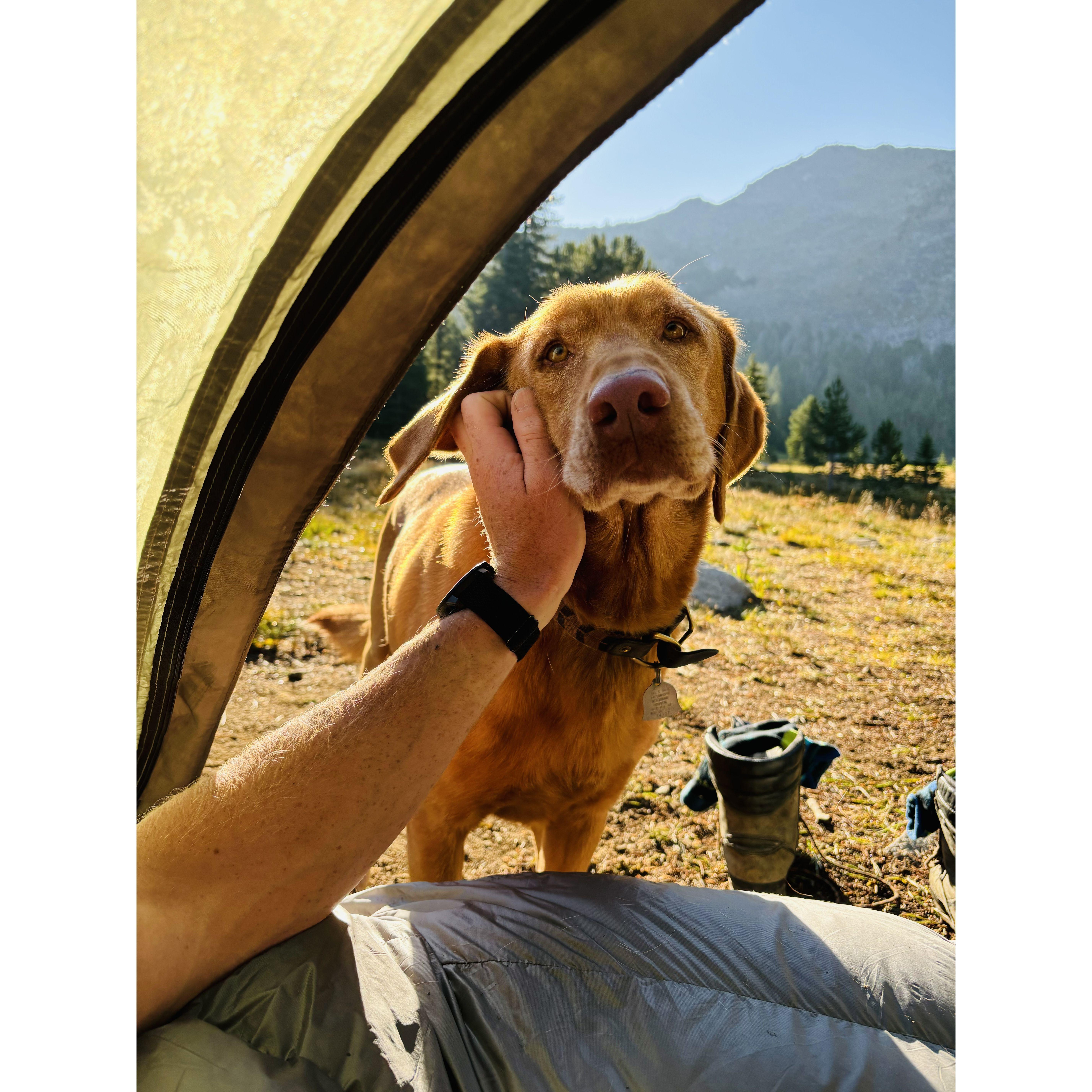 Boone 🧡 The morning after we got engaged!