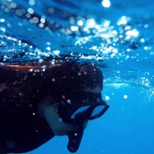 Snorkeling Safari @ Navy's Waterworld