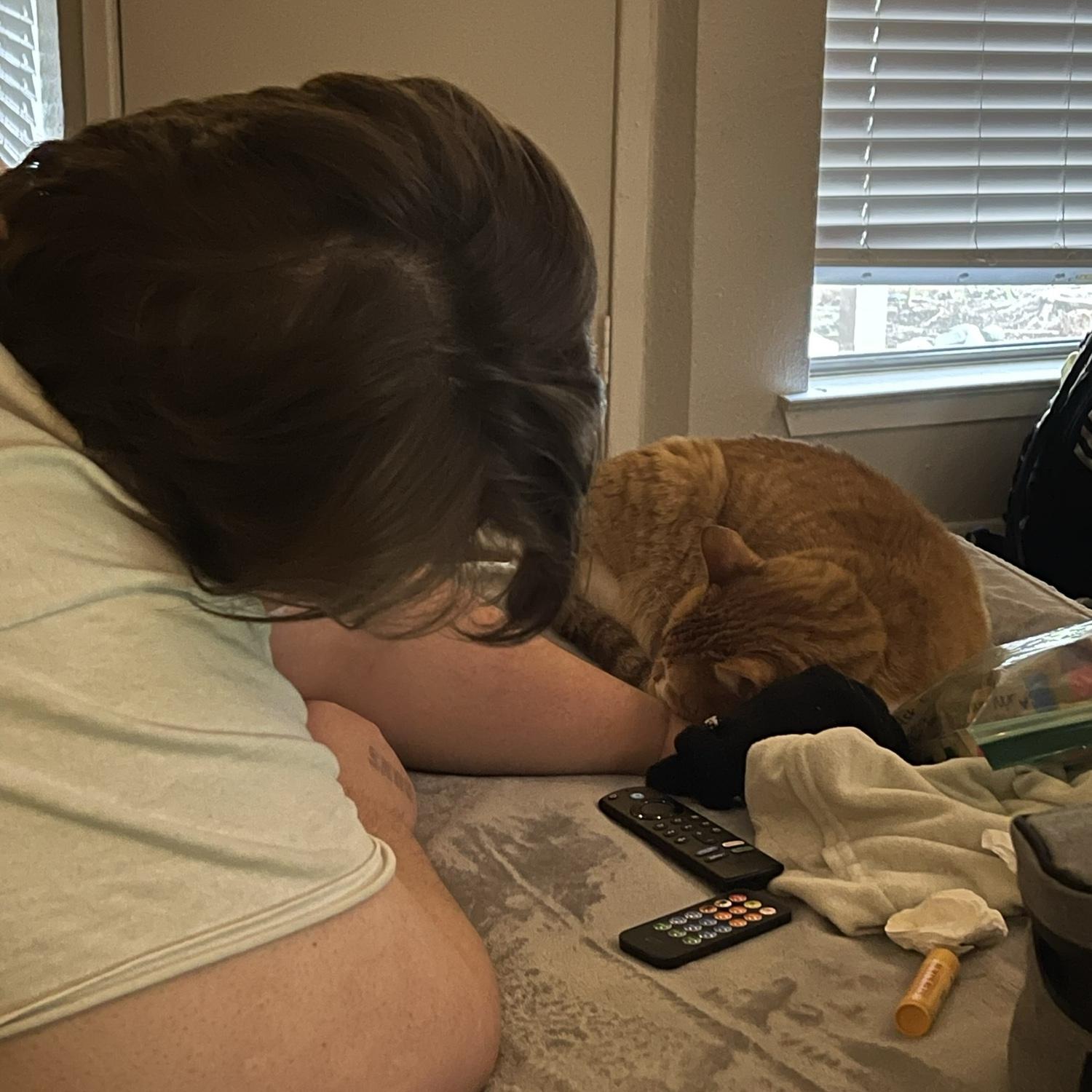 Claire the bear curled up on my hand and fell asleep. I ended up staying in that position for 30 minutes because she was too cute to disturb. -Kelly
