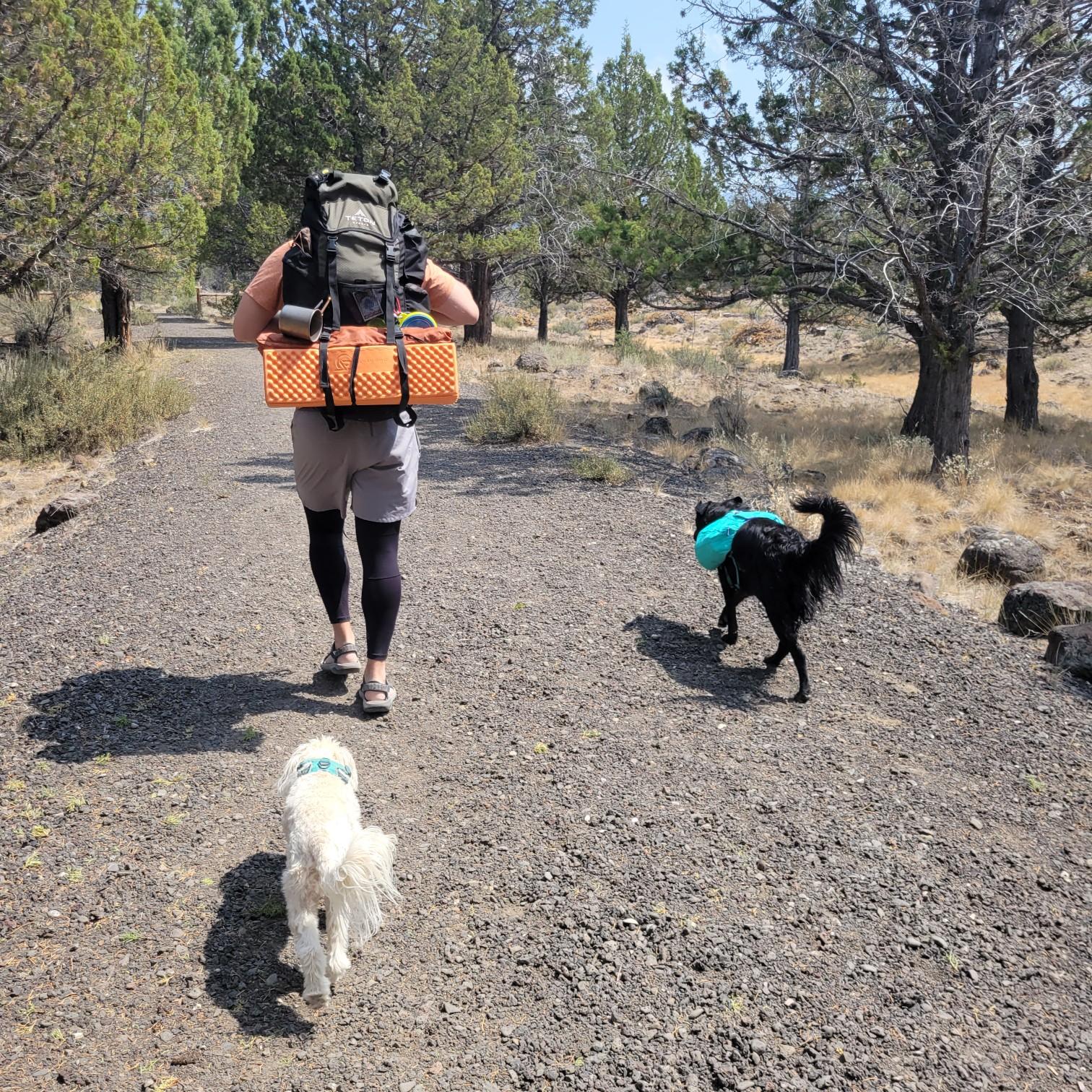backpacking with our boys