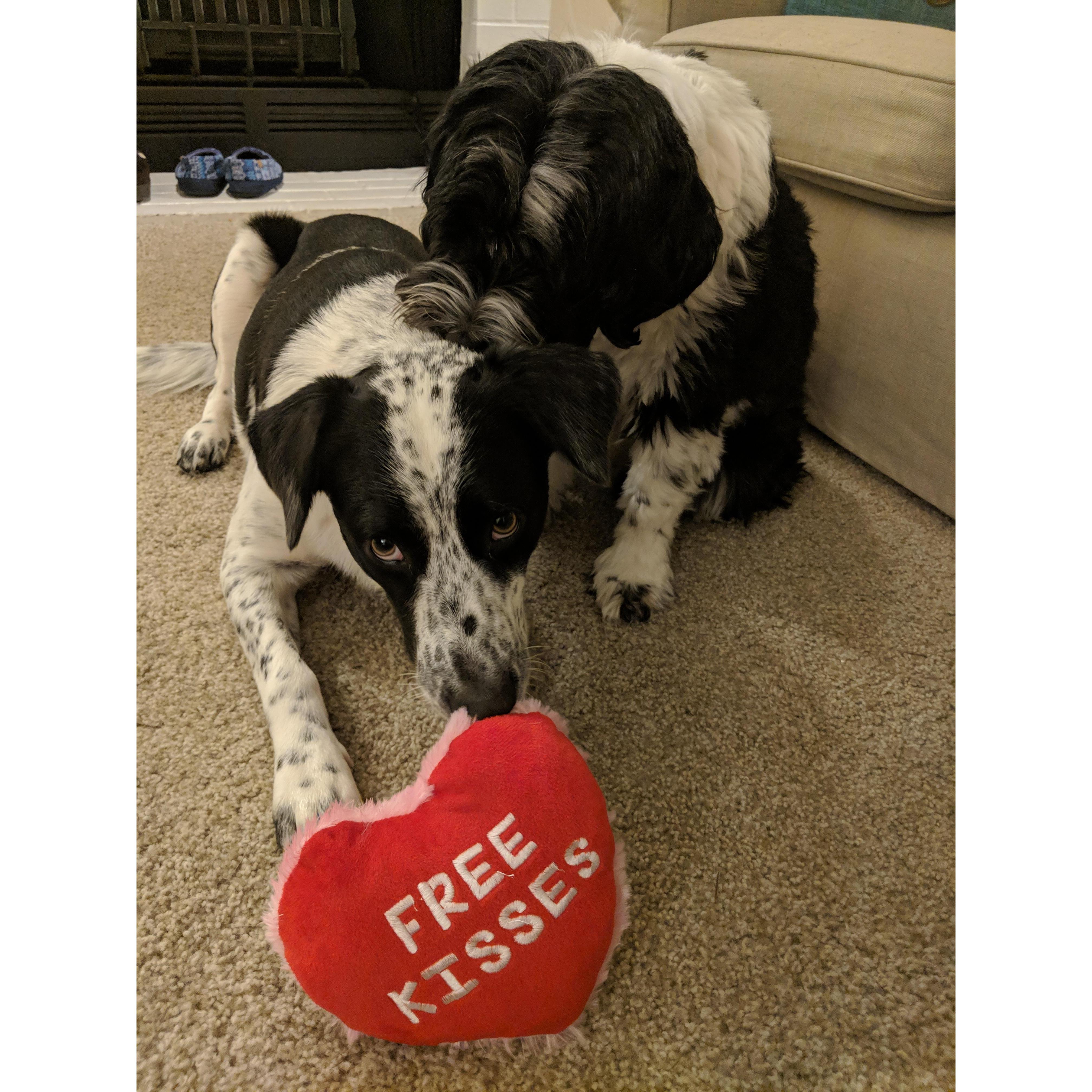 Valentine's Day 2019.