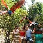 Priority Access: Xcaret Day Trip from Playa del Carmen