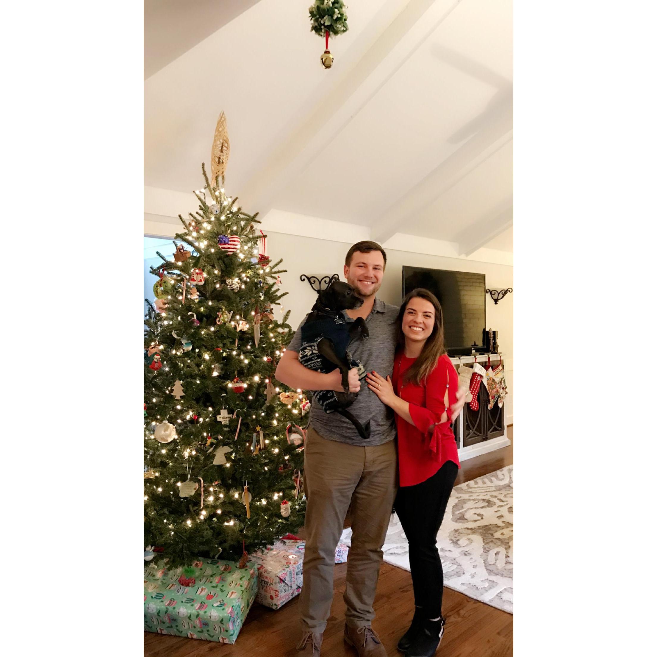 First Christmas together with Frankie!