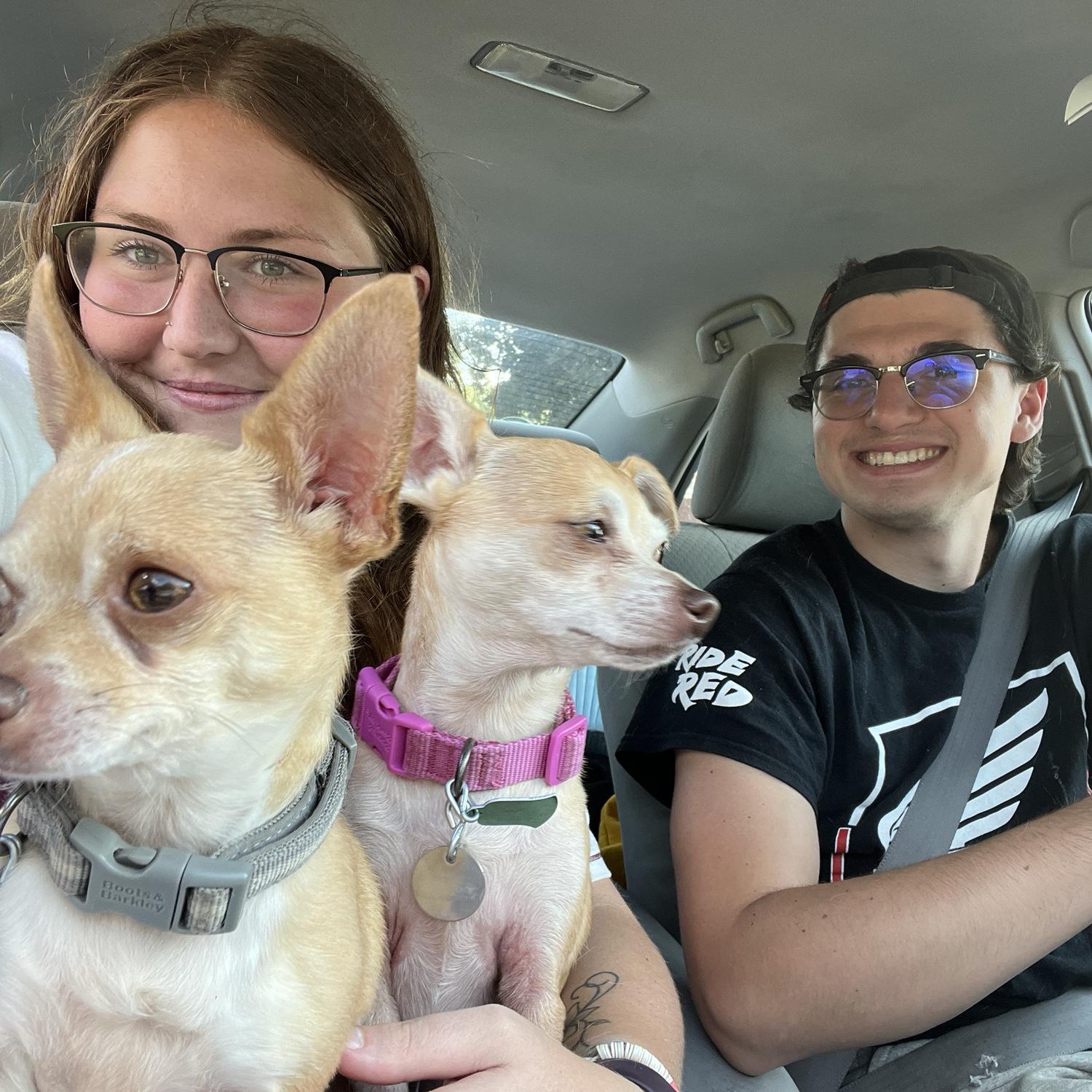 day we got our puppy dogs!