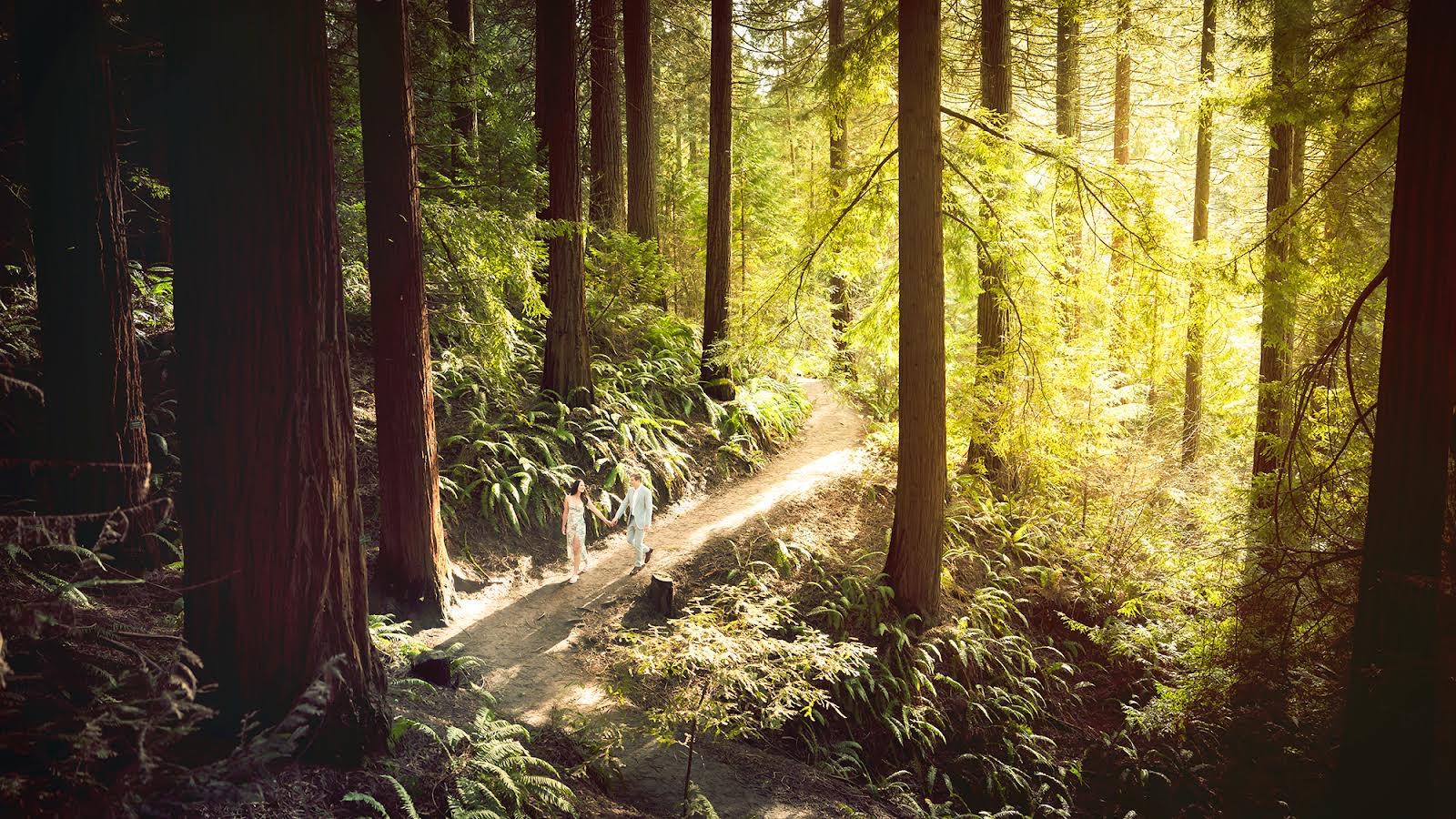 The Wedding Website of Elizabeth Rahmlow and Hunter Cushing