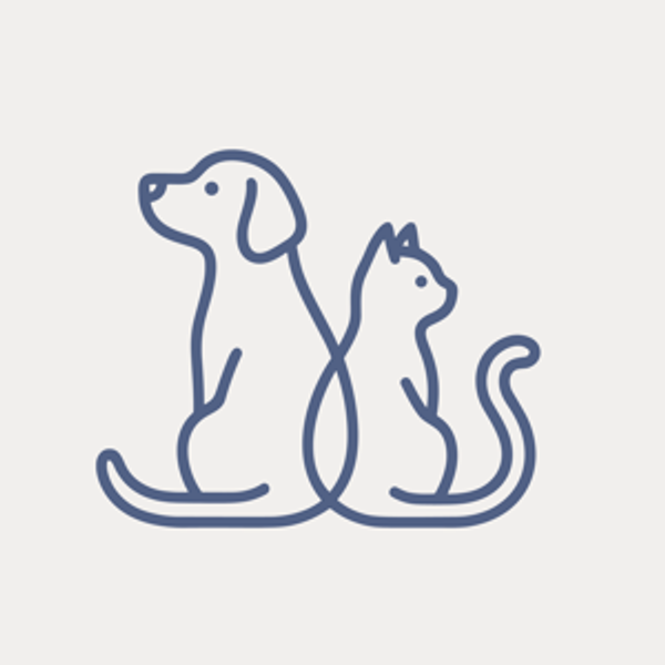 Year's Supply Of Pet Treats