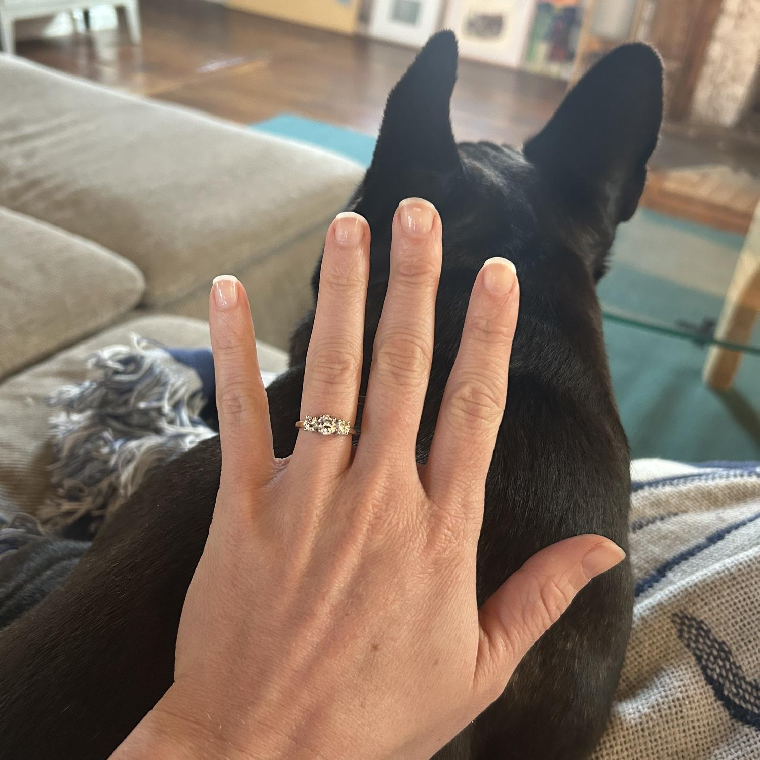 Diamonds and a woof (just kidding, Steve hardly ever barks)