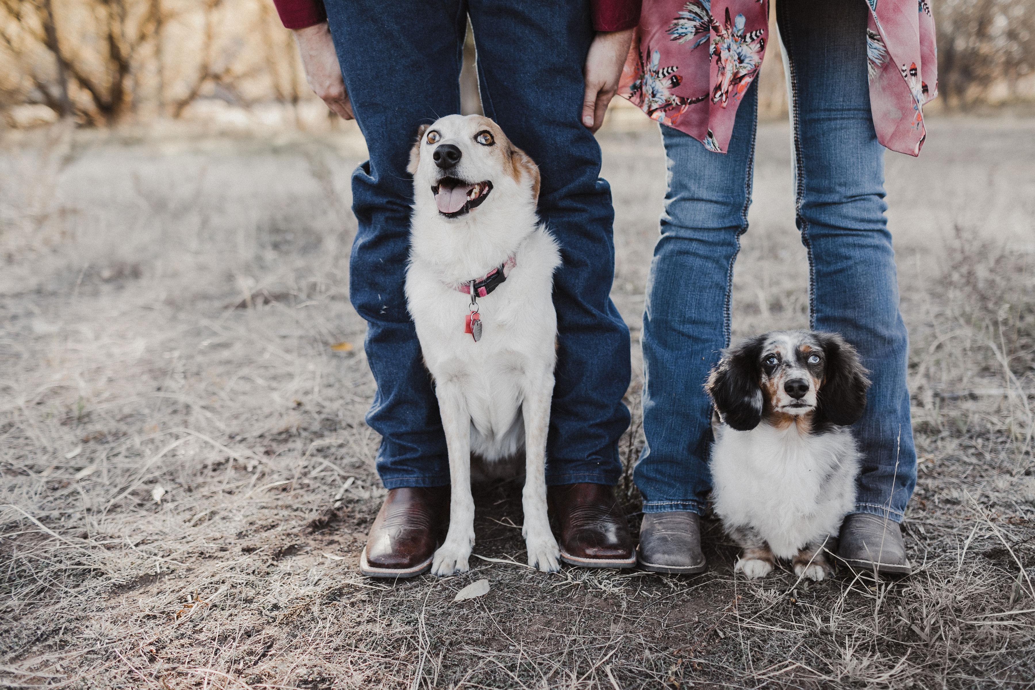 The Wedding Website of Jessica Bean and Jesse Lyman