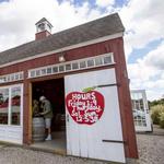 Sample Various Hard Ciders at Woodside Orchards