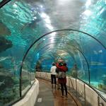 The Dallas World Aquarium