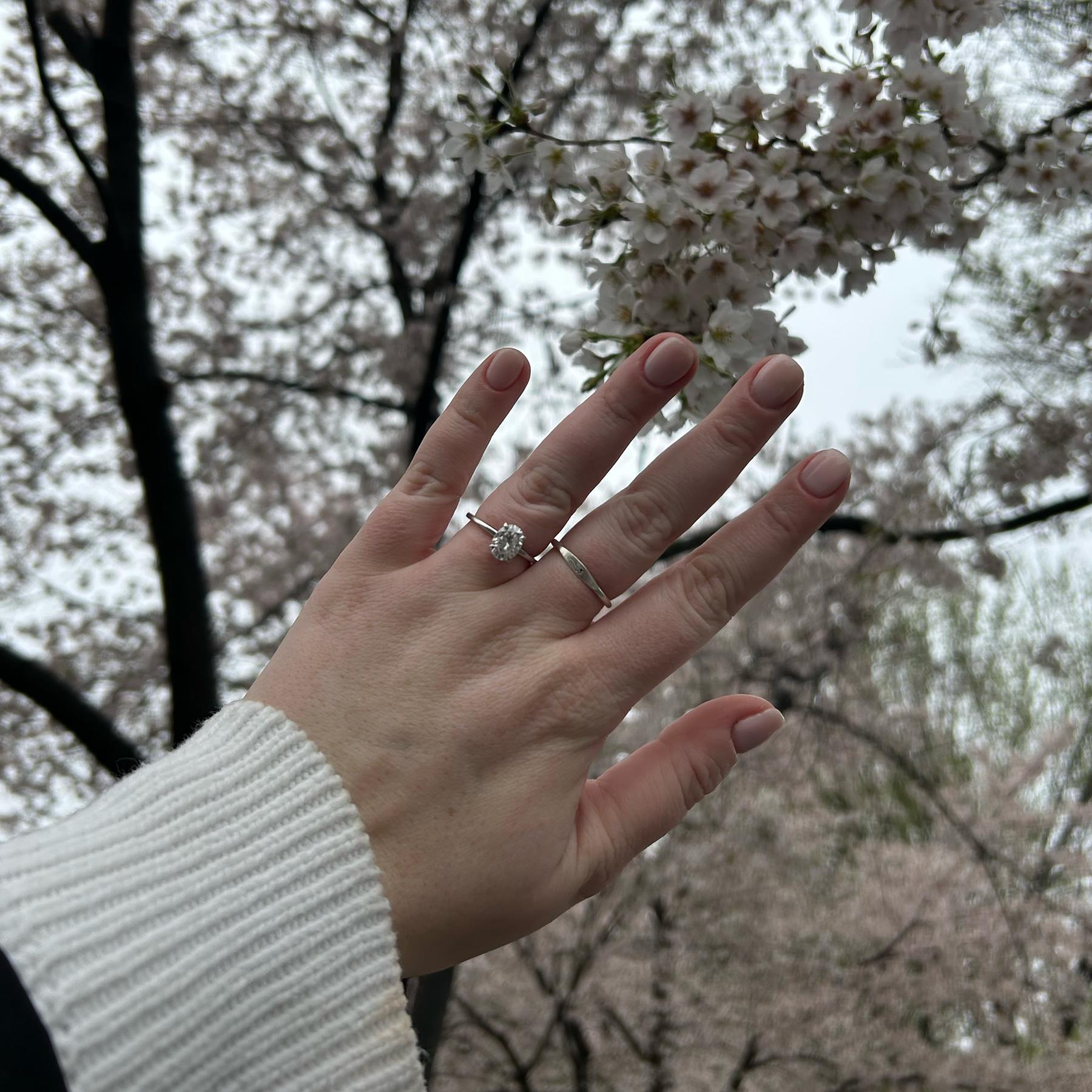 Manicure for the Wedding