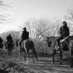 Fort Worth Stockyards Stables and Horseback Riding