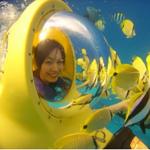 Bob's Hawaii Adventure (Submarine & Scooter)