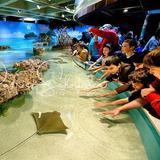 New England Aquarium