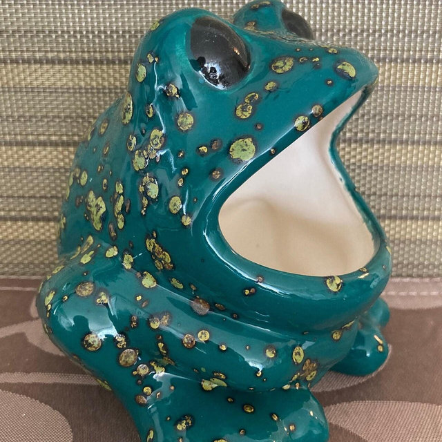 RETRO Ceramic Frog Scrubbie Holder-Gift It To Someone!