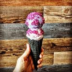 The Greenery Creamery