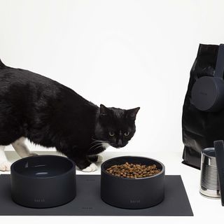 Mogo Feeding Kit