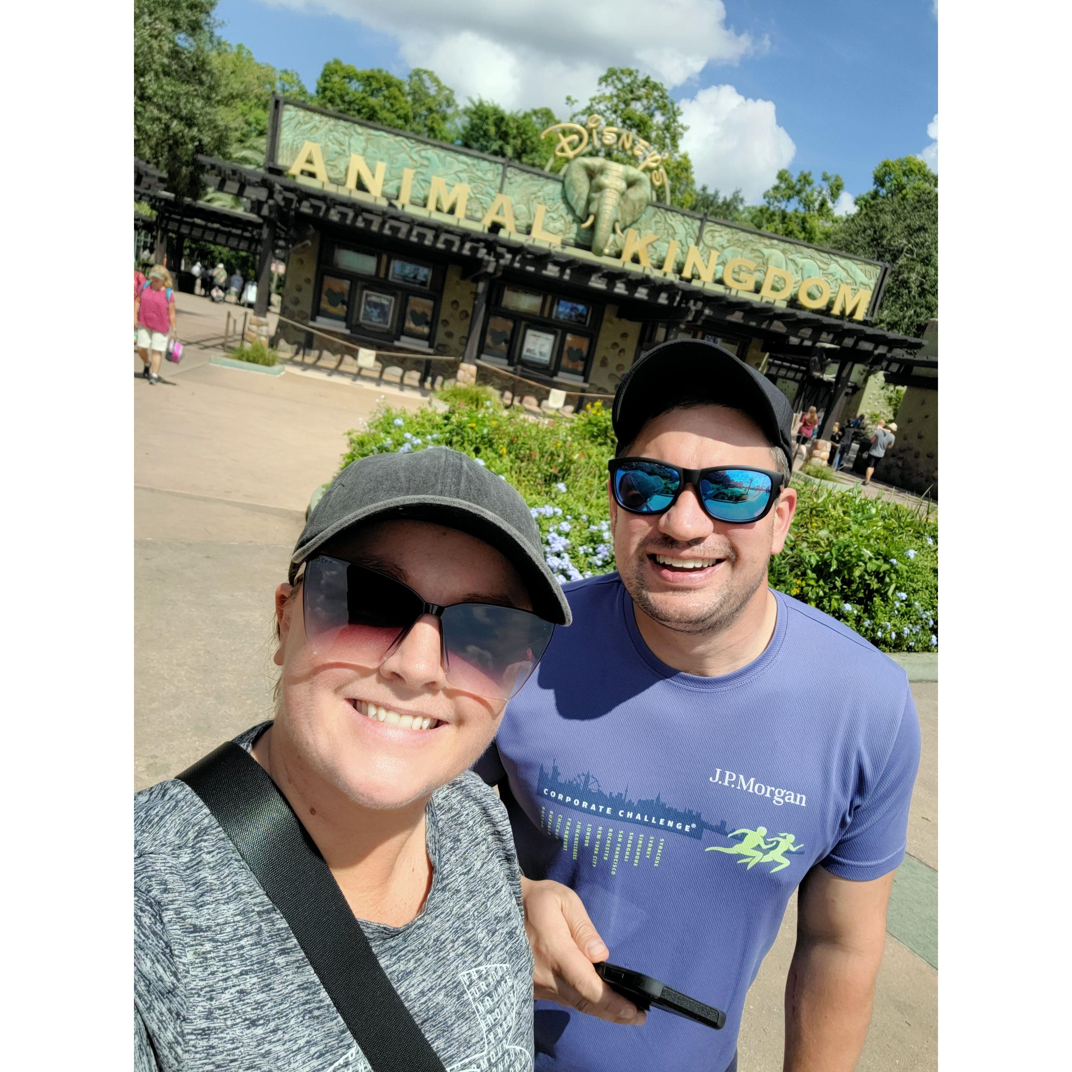 One of the many trips to Disney Animal Kingdom